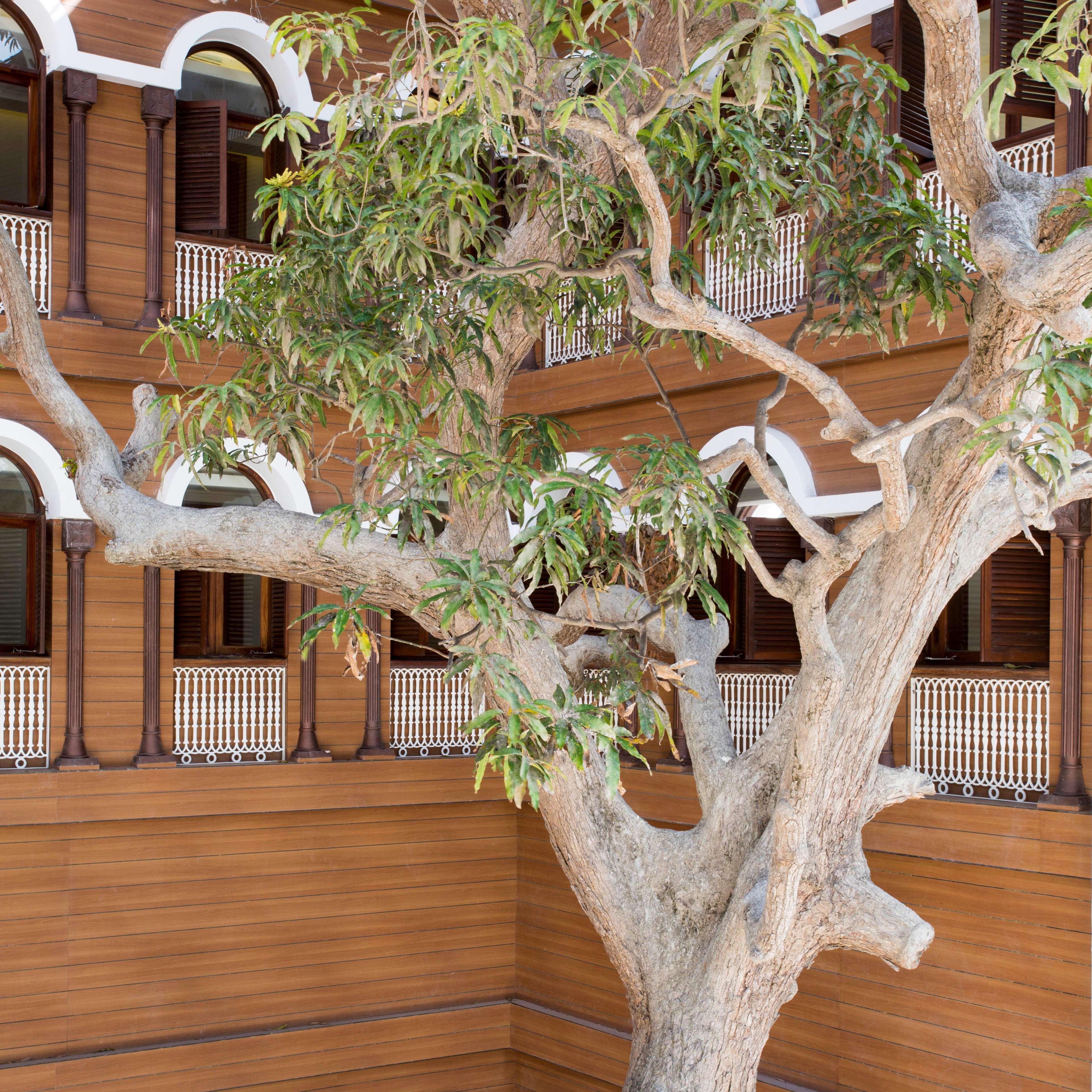 Park Hyatt Zanzibar Otel Dış mekan fotoğraf